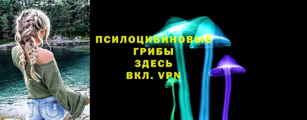 СК Бронницы