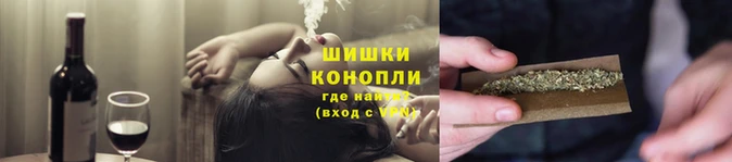 СК Бронницы