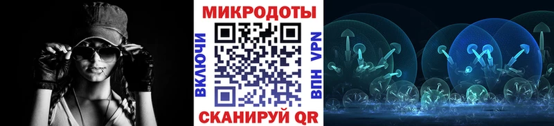 Купить закладки  Камешково  Галлюциногенные грибы прущие грибы 